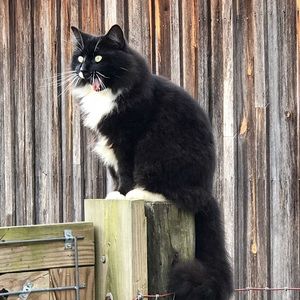 Meet your Posher, Carla